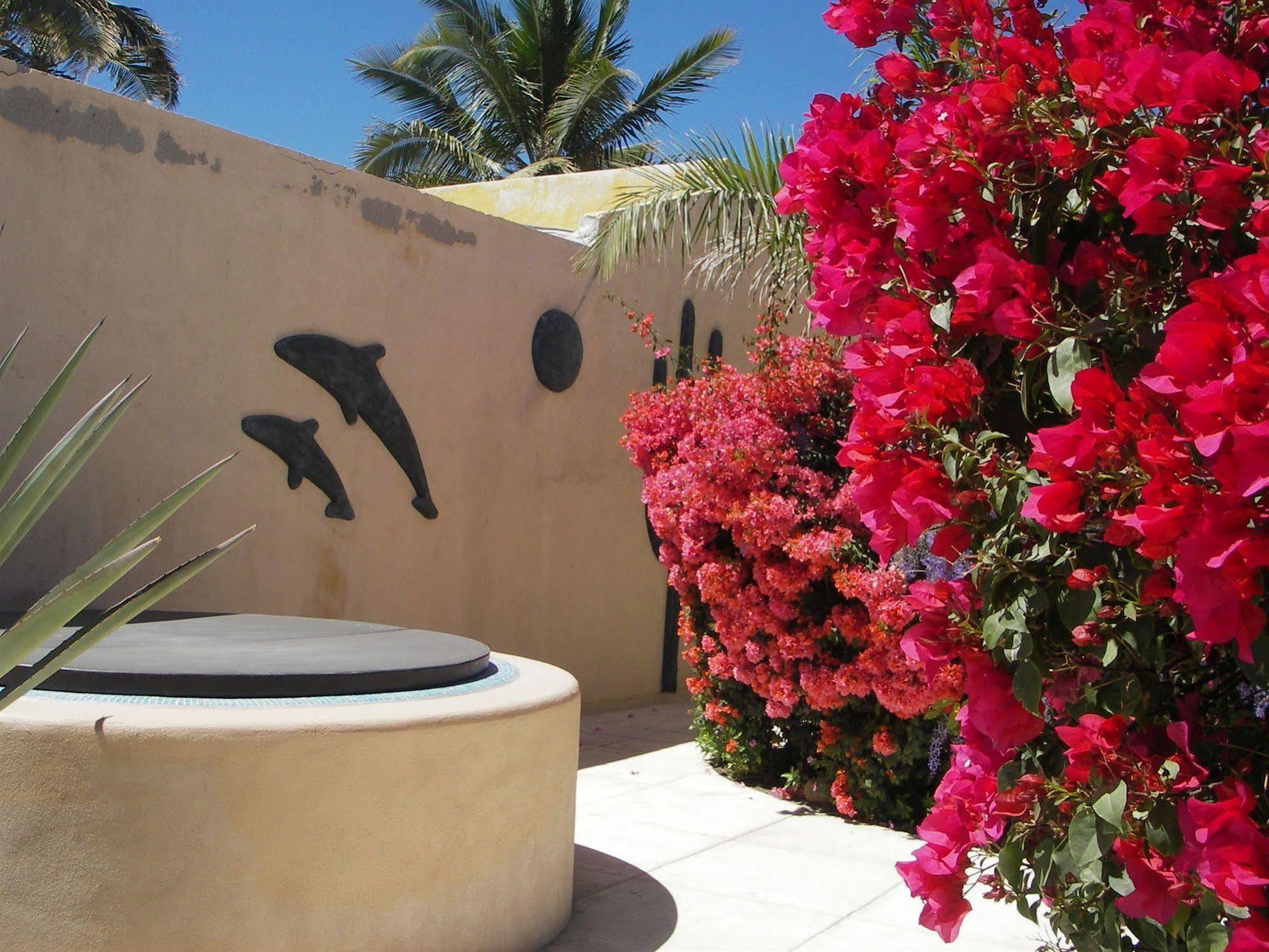 Casa Kootenay Waterfront Bnb La Paz Kültér fotó